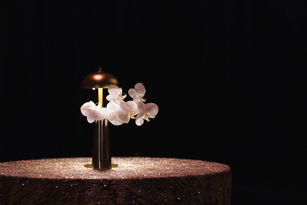 Jack Simpson Photography