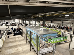 Paddock & Annex - Markets, shows, concerts, and agricultural events.