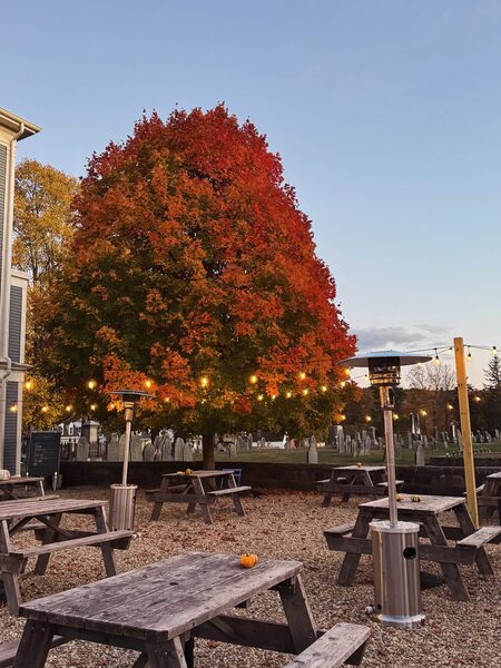 Harvard General Store