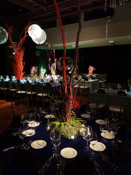 Modesto Centre Plaza