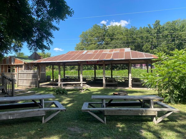 Bellevue Berry Farm and Pumpkin Ranch