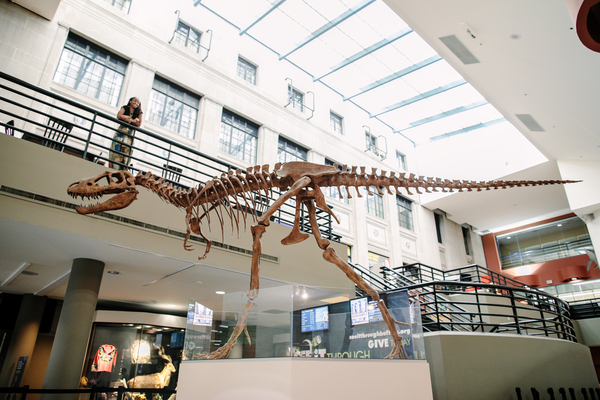 Buffalo Museum of Science