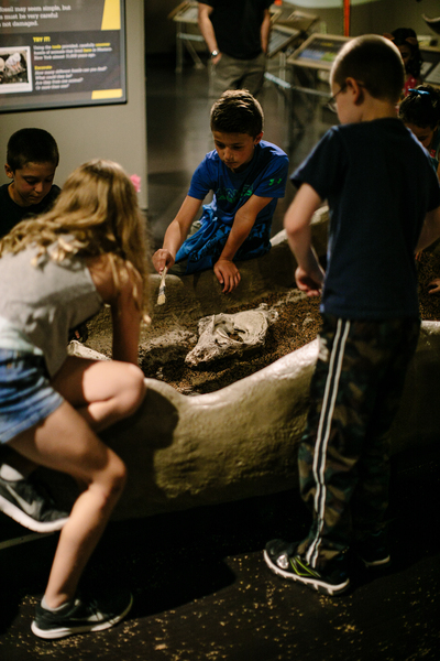 Buffalo Museum of Science