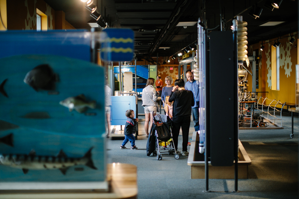 Buffalo Museum of Science