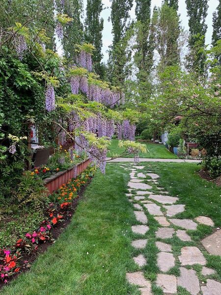 Albee's Garden Parties