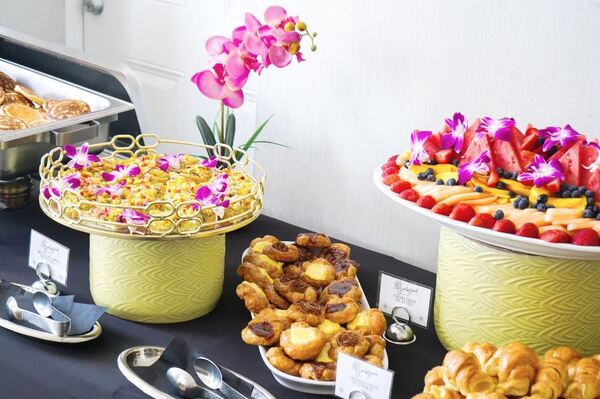 Backyard Miami Beach