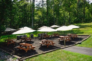 Vineyard Picnic Grove