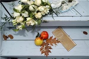 Darko's Photography - Kingston