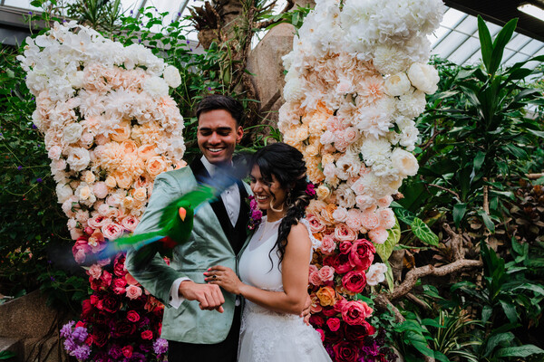 Victoria Butterfly Gardens