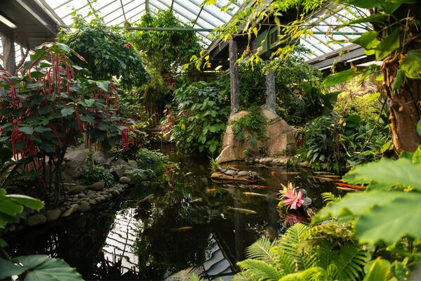 Victoria Butterfly Gardens