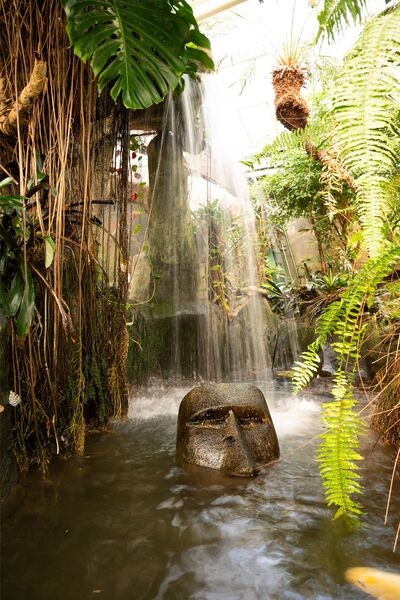 Victoria Butterfly Gardens