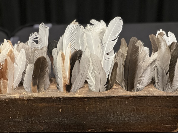 Joby Caples Hair & Hat Studio