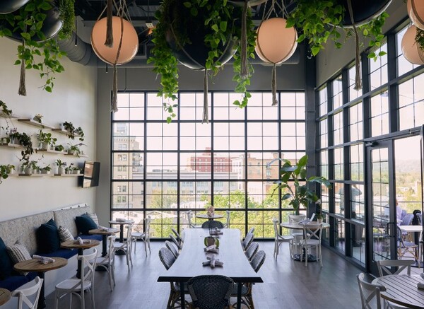 The Restoration Asheville