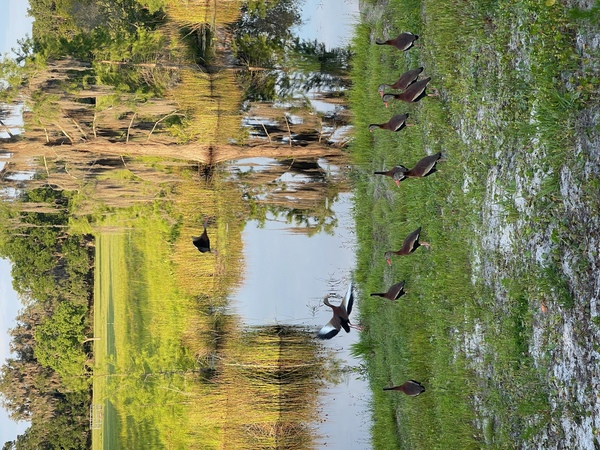 Golden Creek Ranch