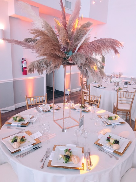 Colors Creative Studio