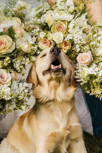 Justyne Edgell Photo Co.