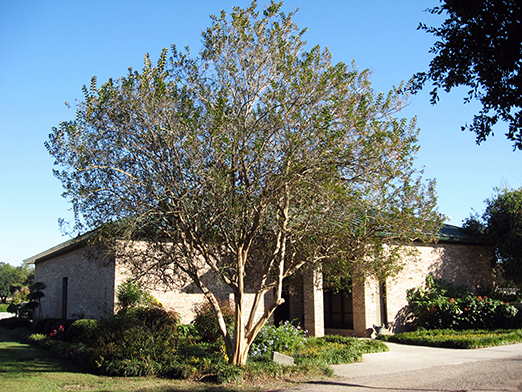 Baton Rouge Garden Center