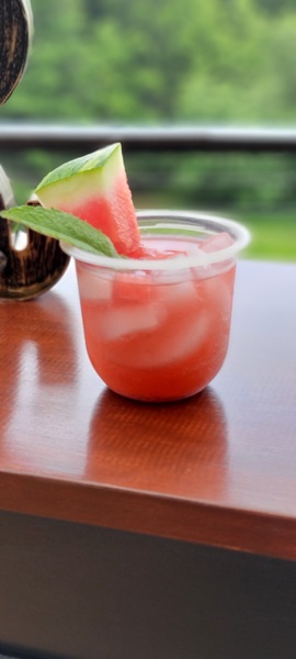 Spirited Times Mobile Bar