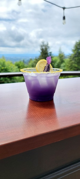 Spirited Times Mobile Bar