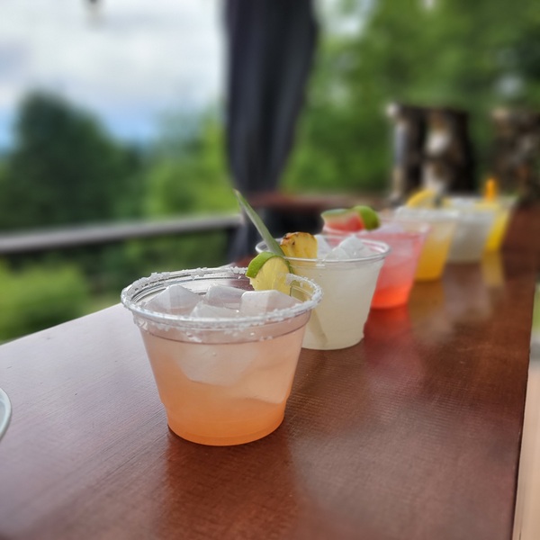 Spirited Times Mobile Bar