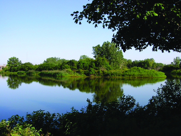 Tifft Nature Preserve