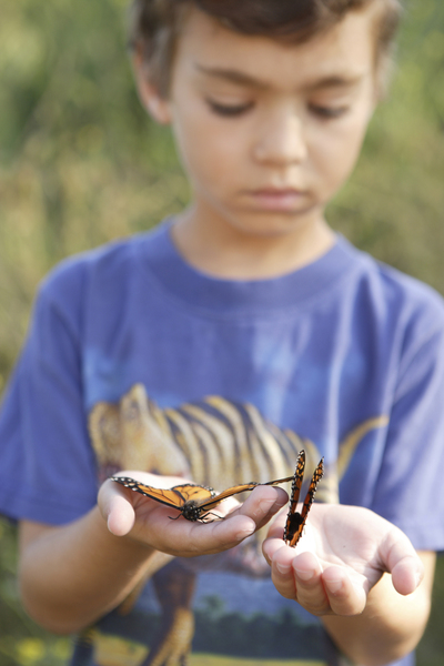 Tifft Nature Preserve