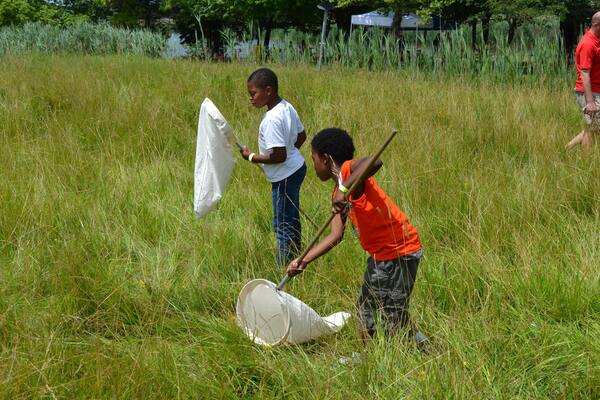 Tifft Nature Preserve