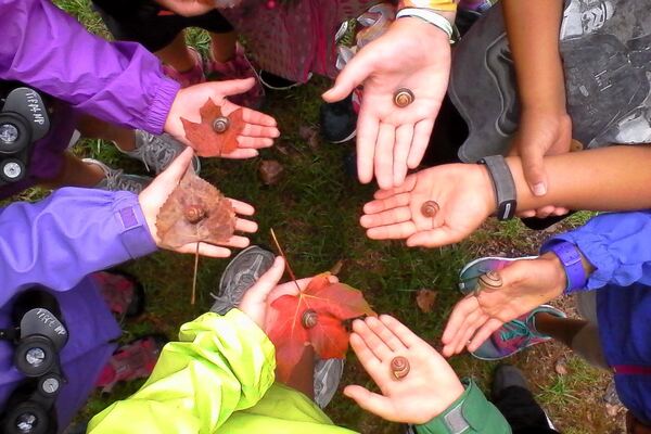 Tifft Nature Preserve