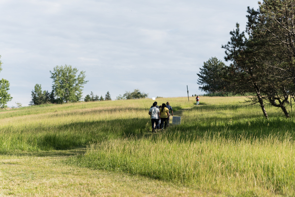 Tifft Nature Preserve
