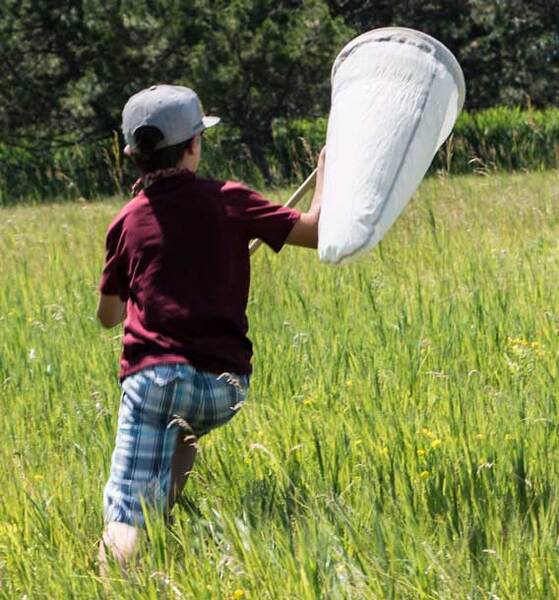 Tifft Nature Preserve