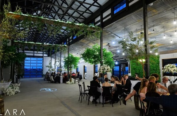 Mountain View Menagerie