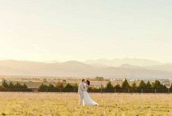 Mountain View Menagerie