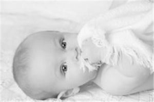 Shelley Rassenfoss Photography - Louisville