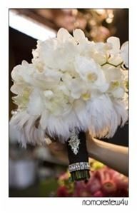 Glamorous Occasions-Grand Canyon