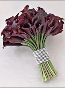 Glamorous Occasions-Grand Canyon