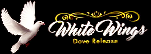 White Wings Dove Release