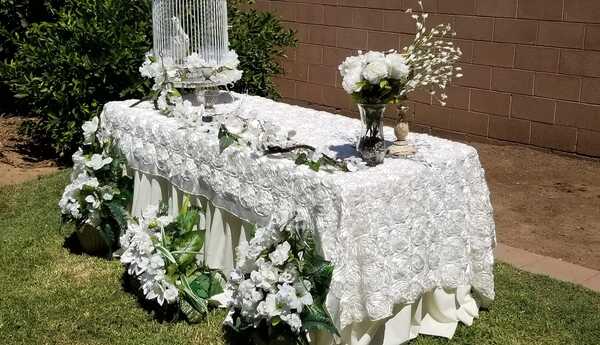 White Wings Dove Release