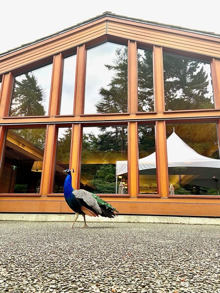 University Club of Victoria