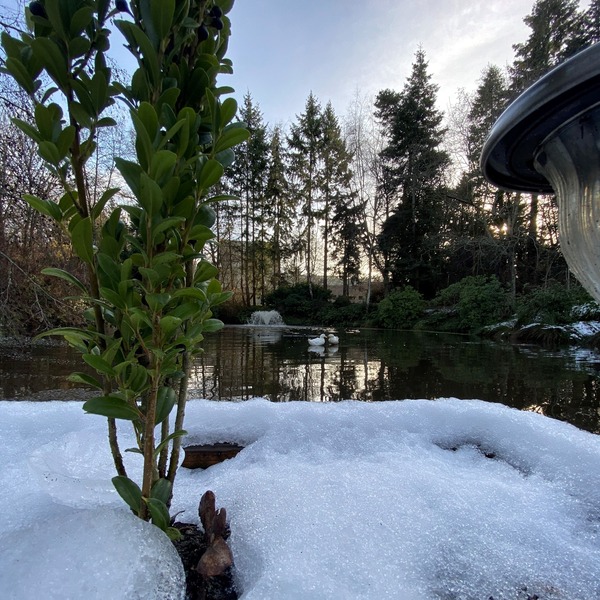 University Club of Victoria