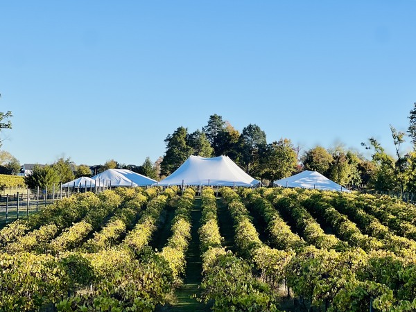 The Winery at Bull Run