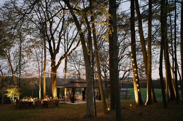 Scarlet Springs Farm