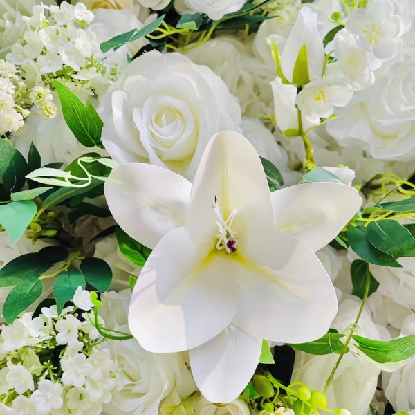 Luxury 5D Flower Wall Rentals – West Chester, OH