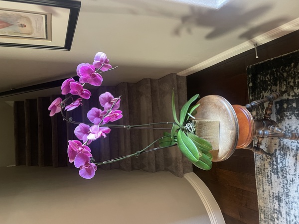 Bud Weismiller Florist