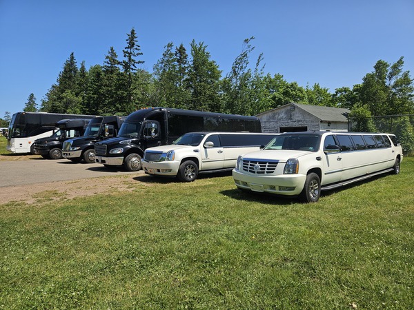 Elevation Limo Bus / Party Bus