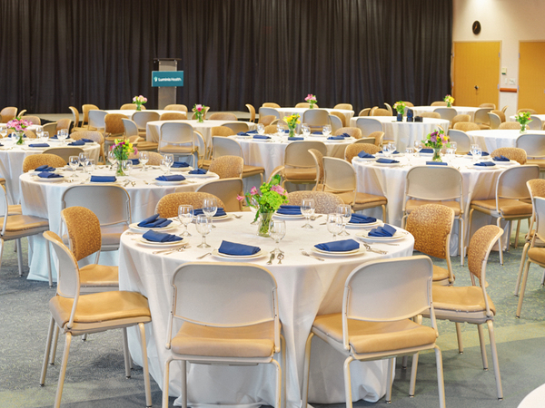 The Doordan Institute