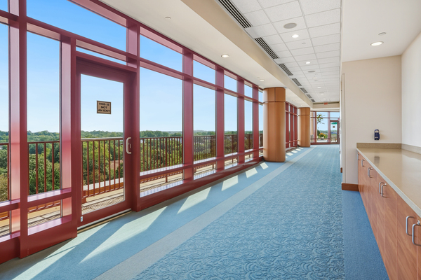 The Doordan Institute