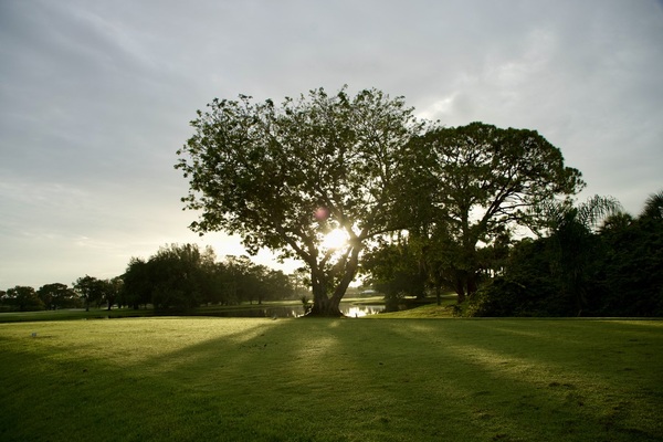 Palm Beach National Golf and Country Club