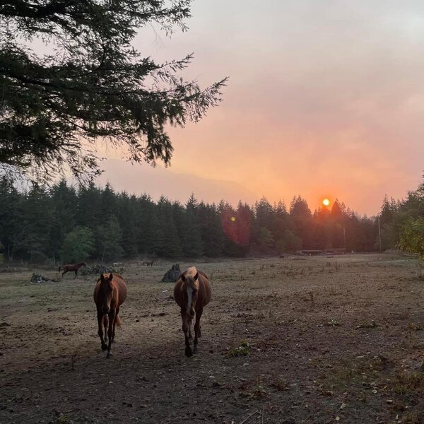 Skyland Ranch Horseback Riding