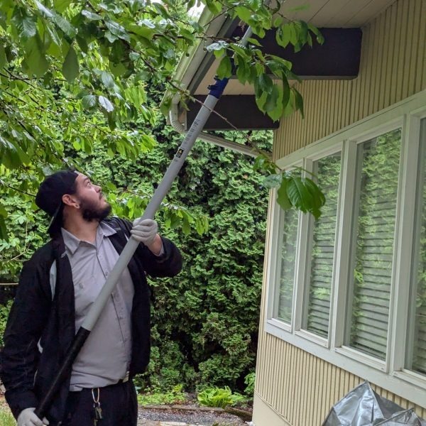 Sparrow’s Pest Control – Bellingham