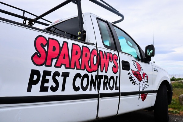 Sparrow’s Pest Control – Bellingham